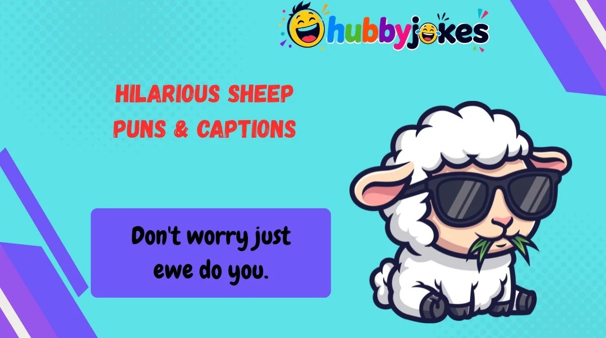 Hilarious Sheep Puns & Captions