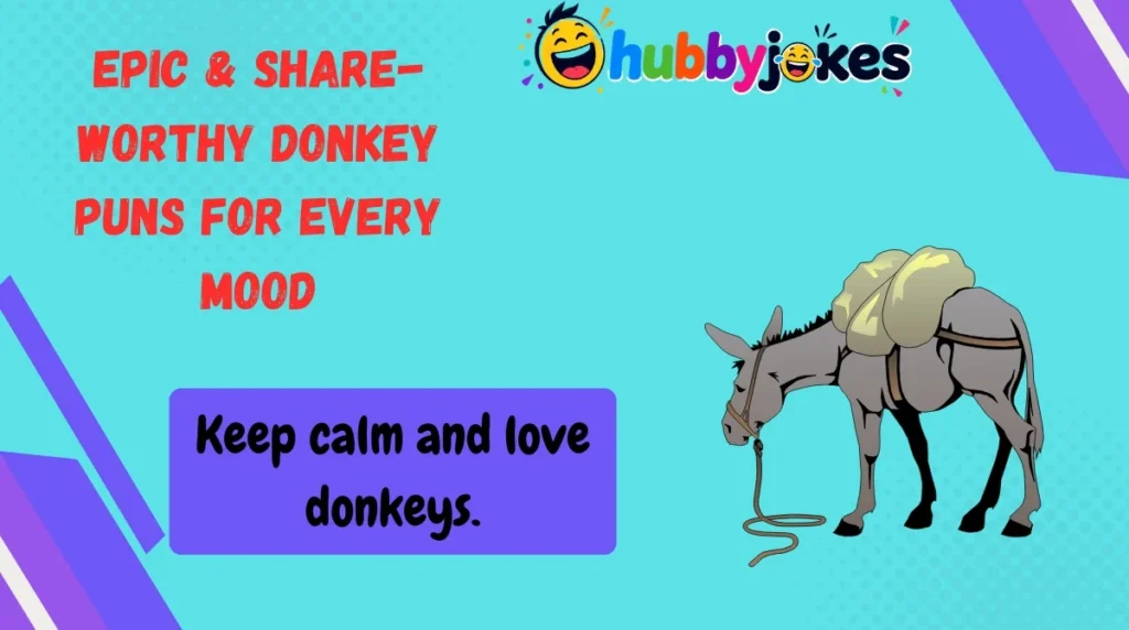 Epic & Share-Worthy Donkey Puns for Every Mood
