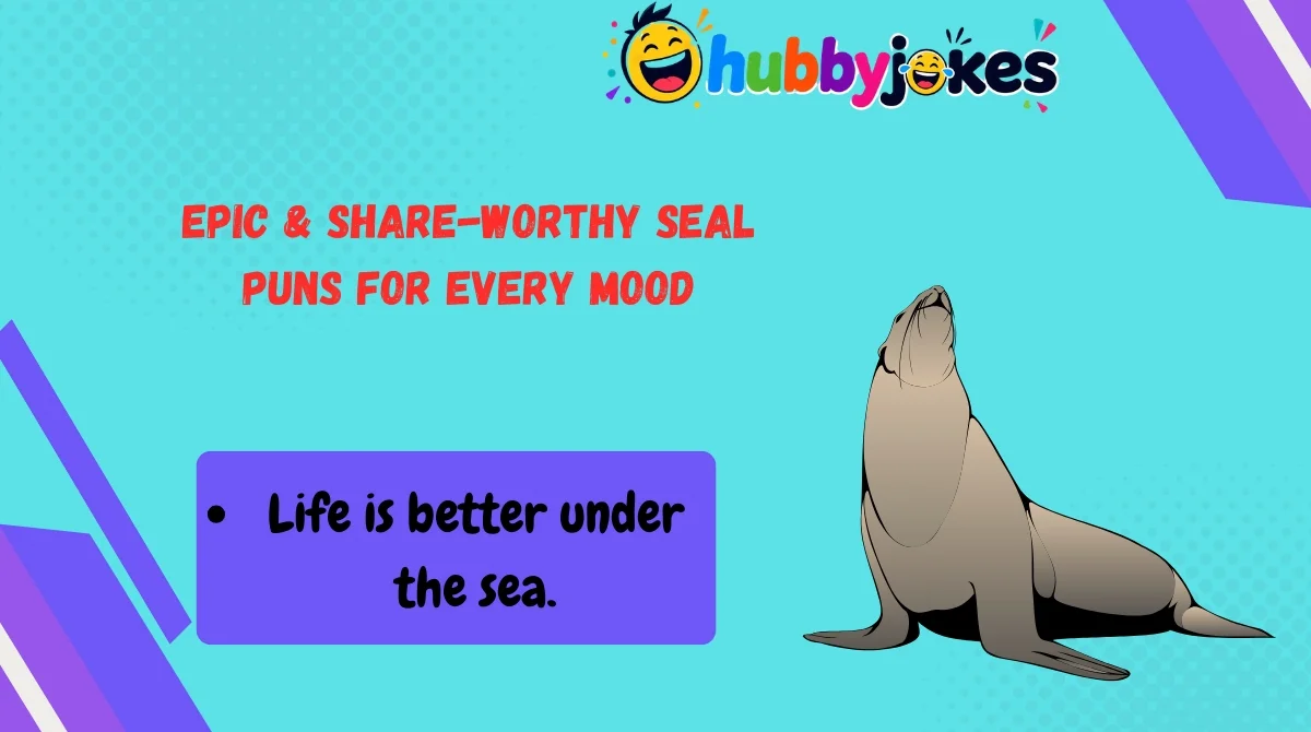 Epic & Share-Worthy Seal Puns for Every Mood 