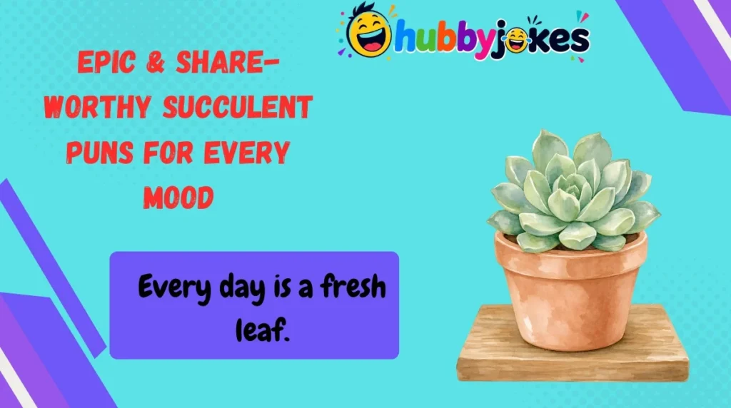 Epic & Share-Worthy Succulent Puns for Every Mood