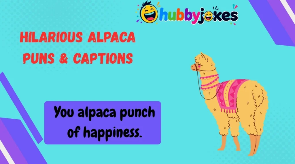 Hilarious Alpaca Puns & Captions