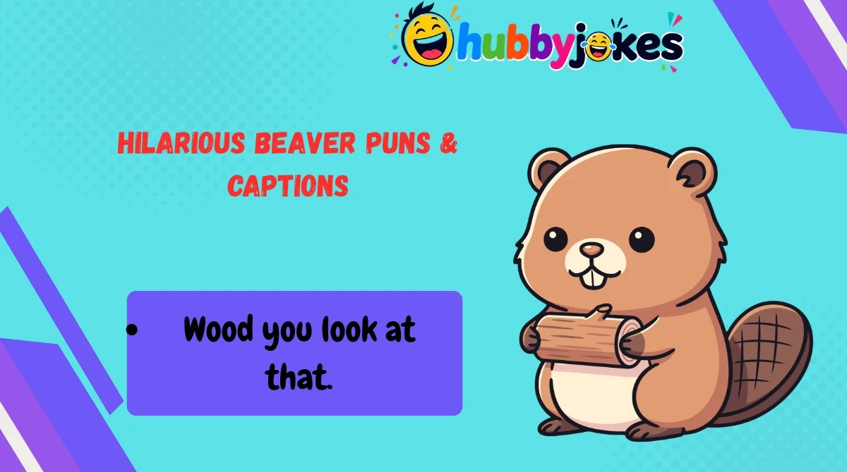 Hilarious Beaver Puns & Captions 