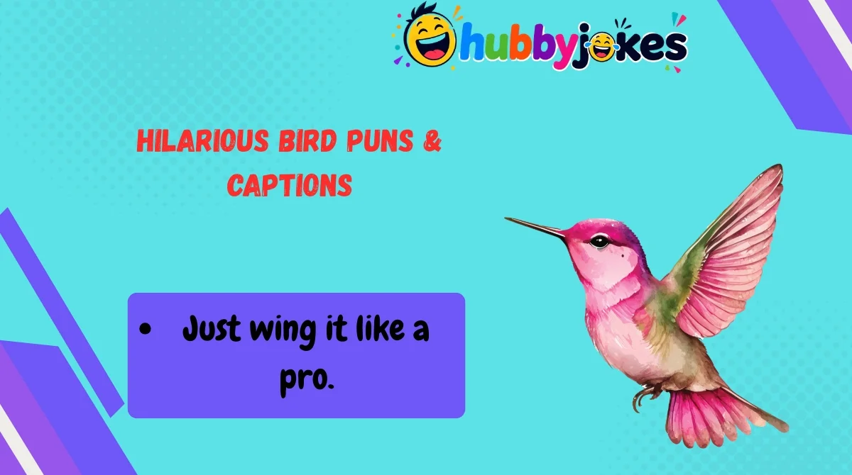 Hilarious Bird Puns & Captions