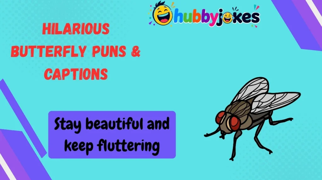 Hilarious Butterfly Puns & Captions
