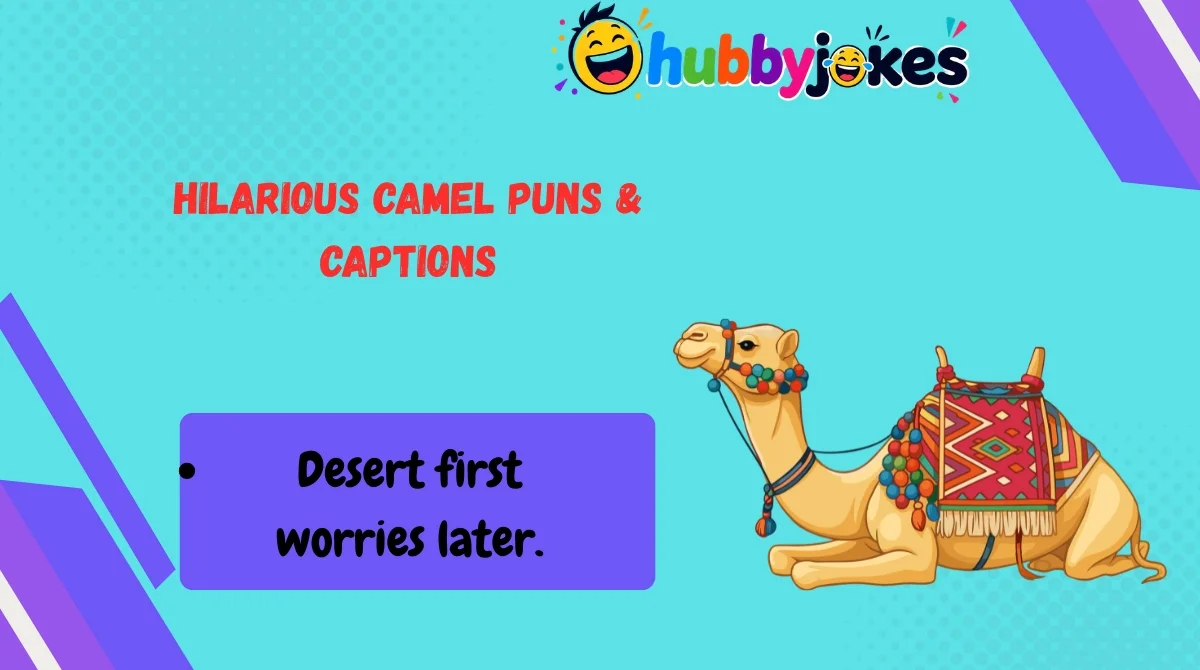 Hilarious Camel Puns & Captions