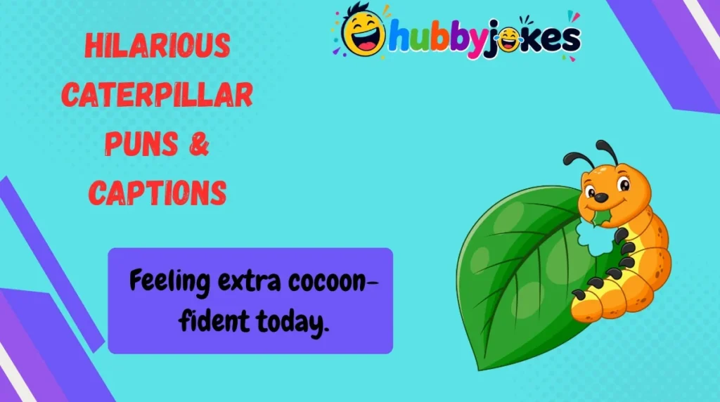 Hilarious Caterpillar Puns & Captions