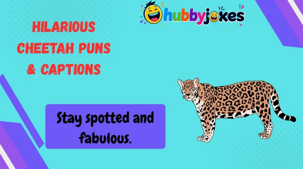 Hilarious Cheetah Puns & Captions