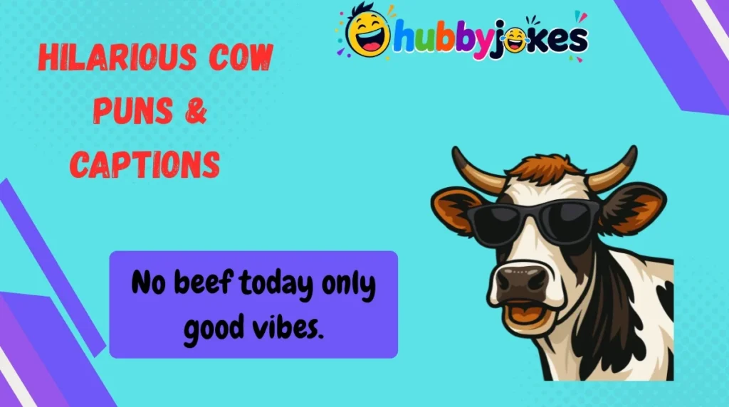  Hilarious Cow Puns & Captions 