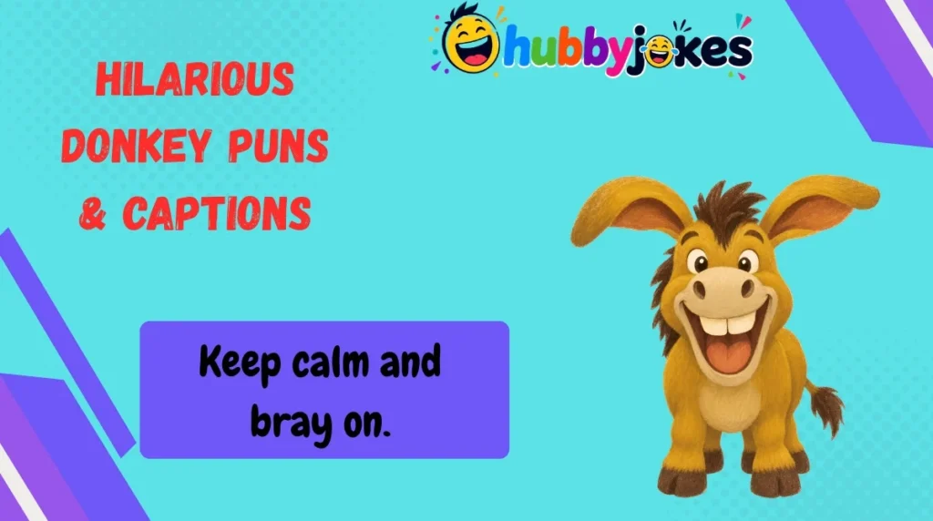 Hilarious Donkey Puns & Captions