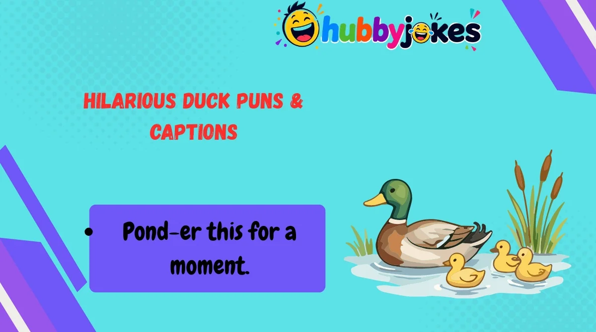 Hilarious Duck Puns & Captions