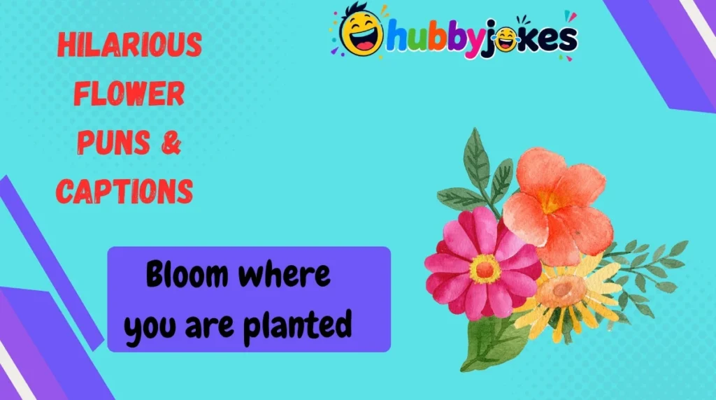 Hilarious Flower Puns & Captions 