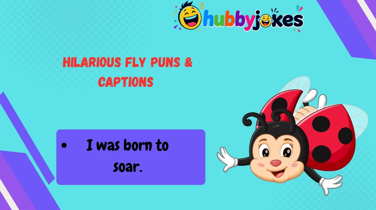 Hilarious Fly Puns & Captions 