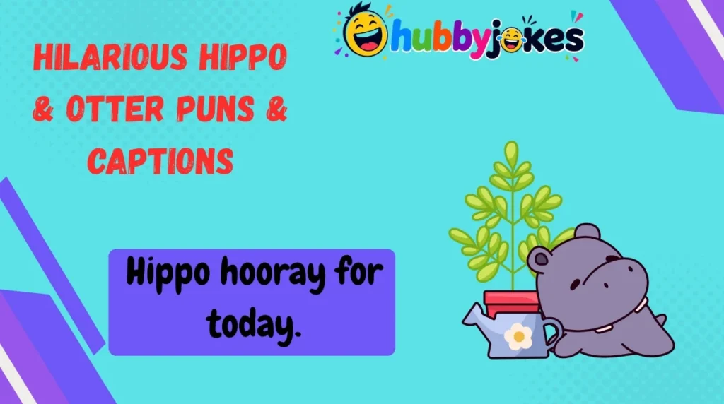 Hilarious Hippo & Otter Puns & Captions