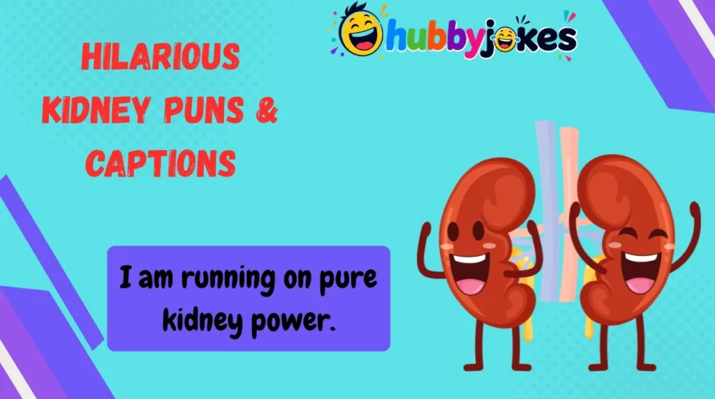 Hilarious Kidney Puns & Captions