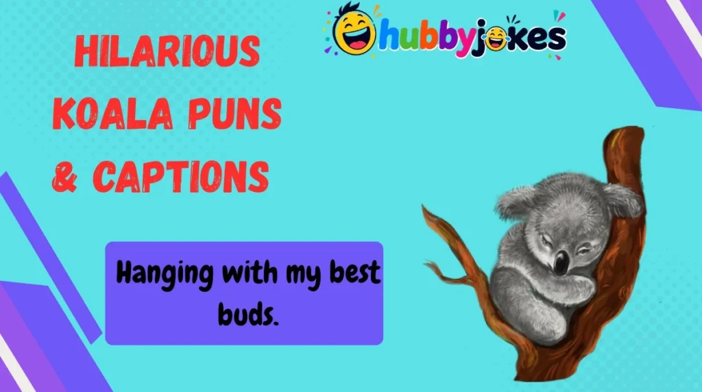 Hilarious Koala Puns & Captions