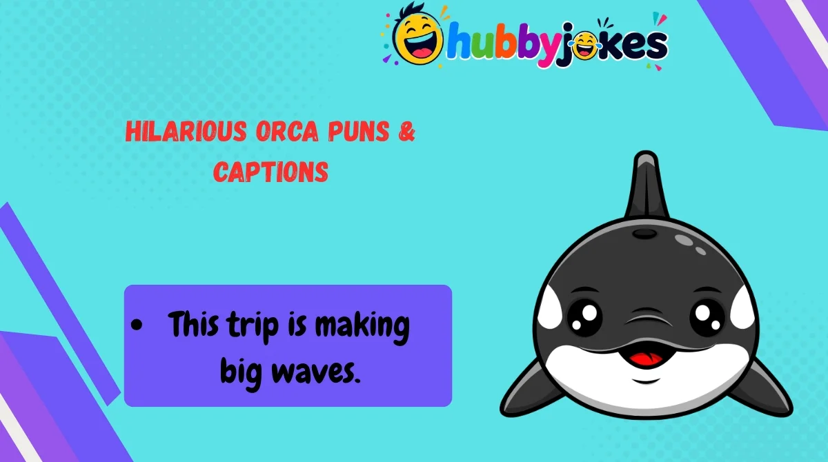 Hilarious Orca Puns & Captions