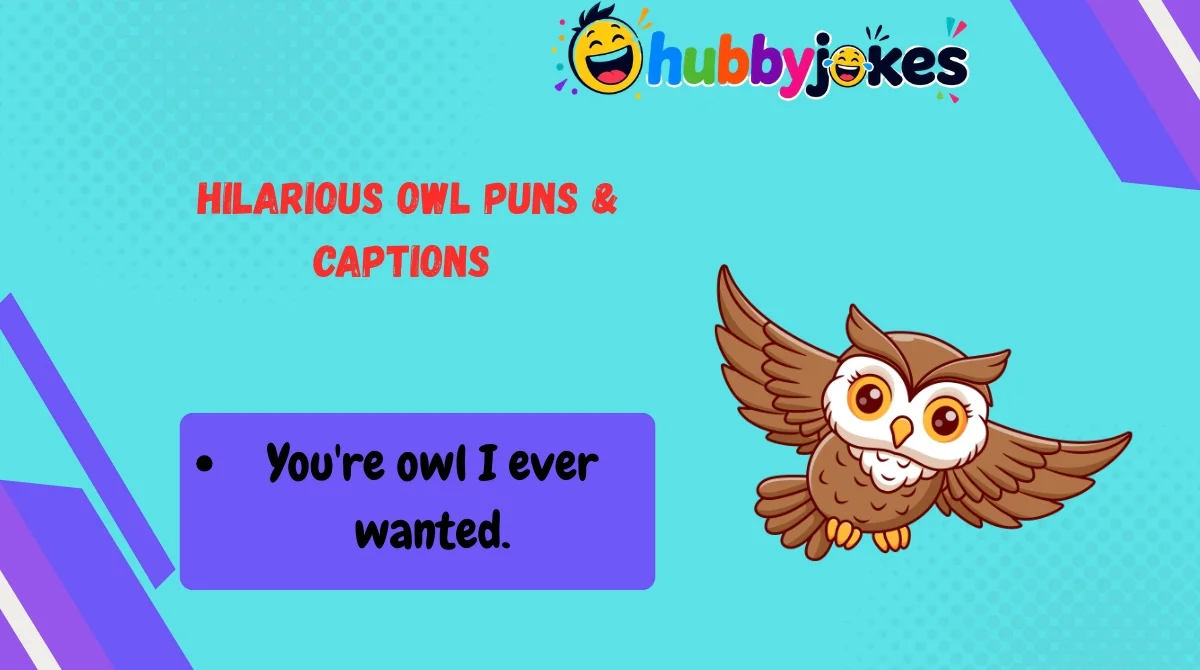 Hilarious Owl Puns & Captions 