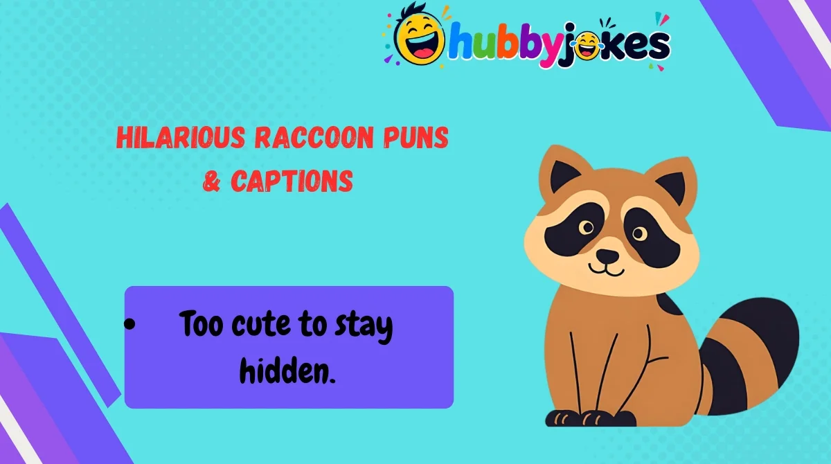 Hilarious Raccoon Puns & Captions 