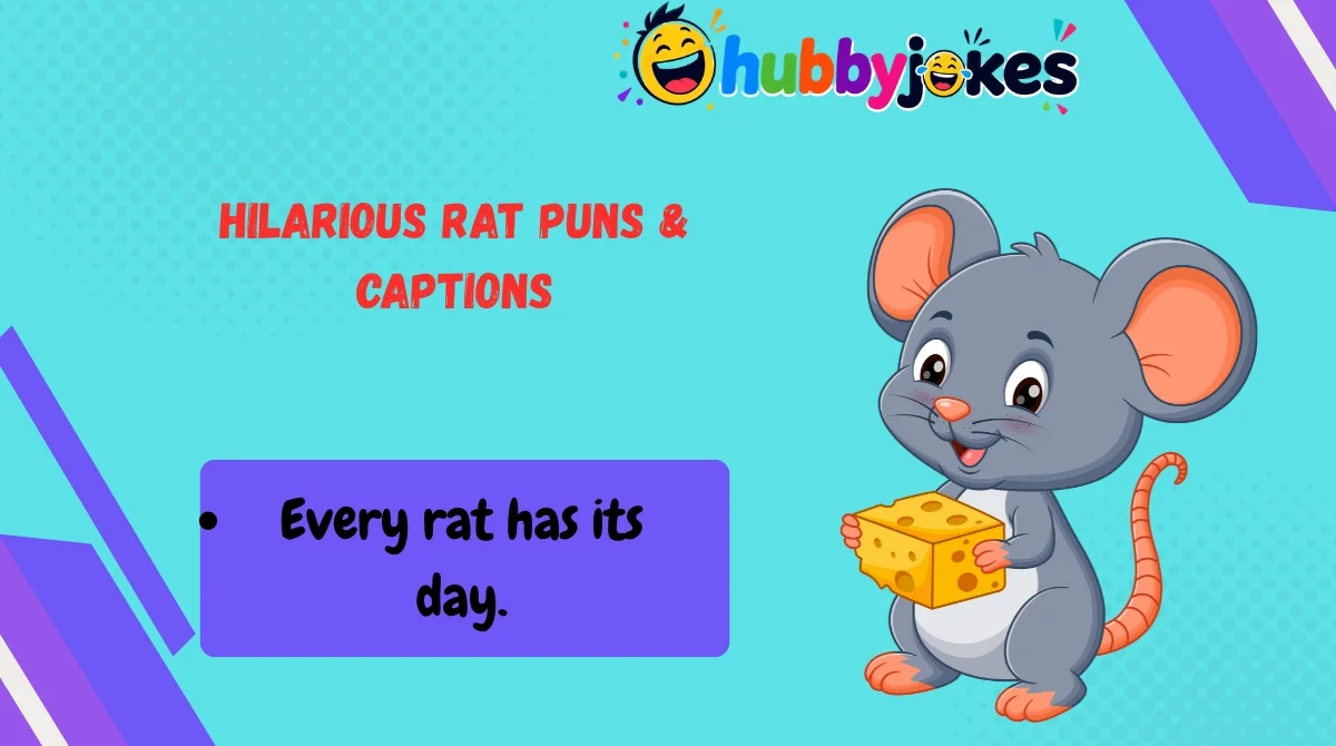 Hilarious Rat Puns & Captions