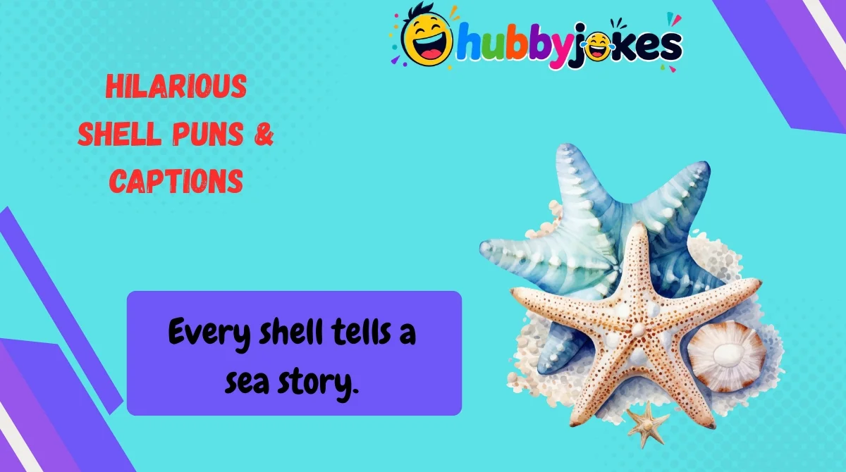 Hilarious Shell Puns & Captions