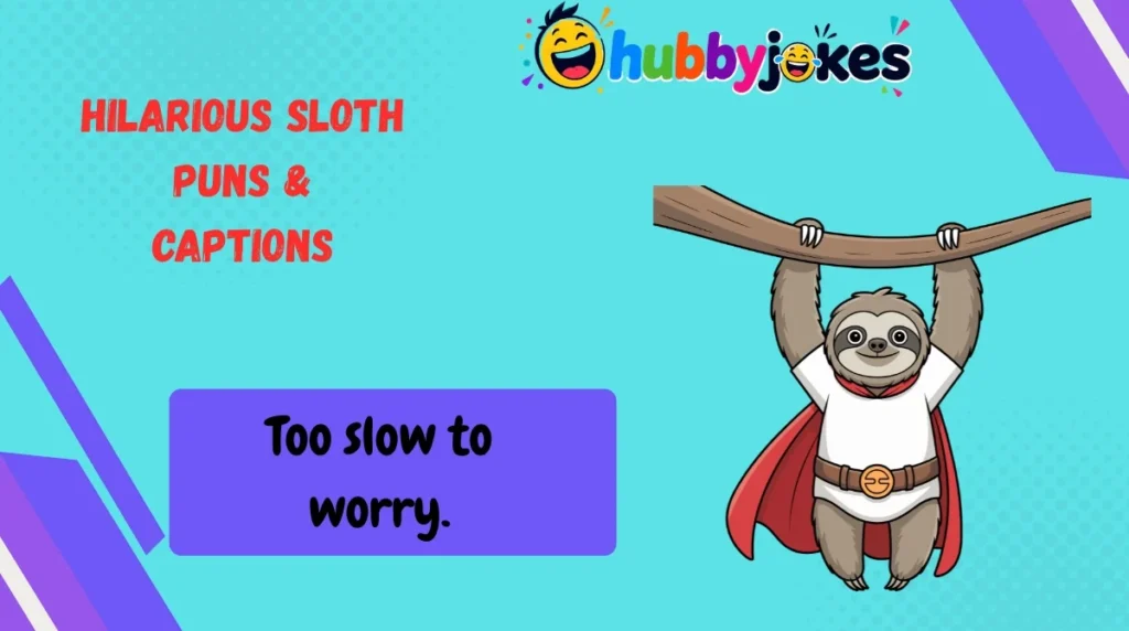 Hilarious Sloth Puns & Captions 