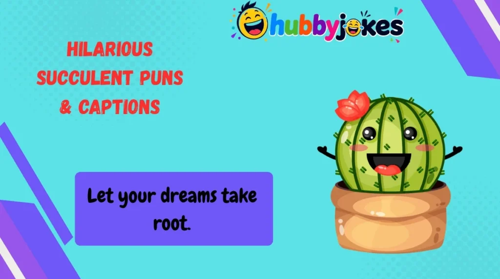 Hilarious Succulent Puns & Captions