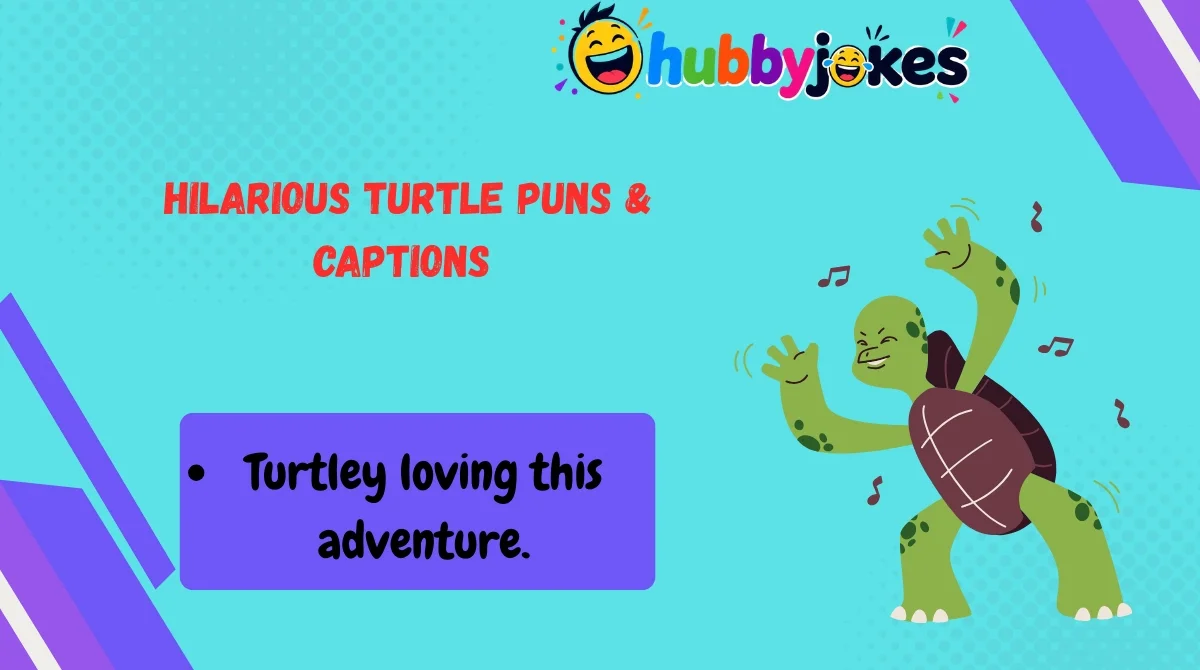 Hilarious Turtle Puns & Captions 