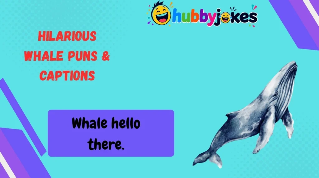 Hilarious Whale Puns & Captions