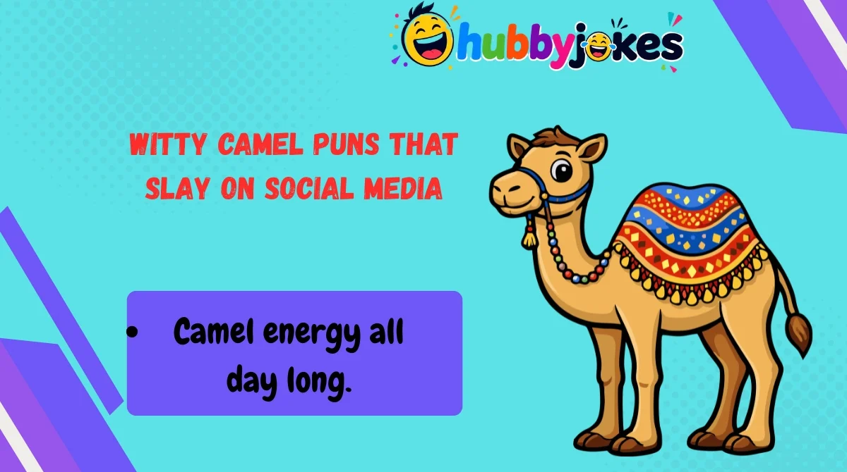 Witty Camel Puns That Slay on Social Media