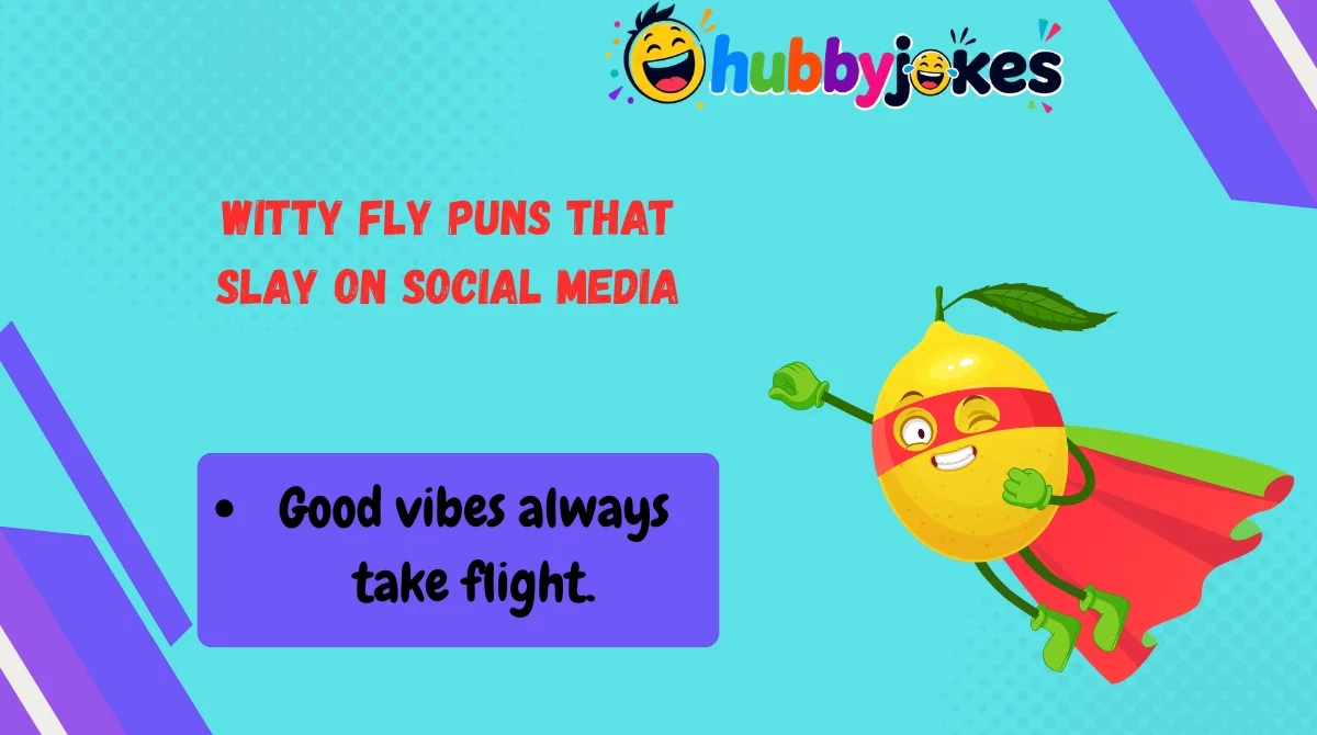Witty Fly Puns That Slay on Social Media