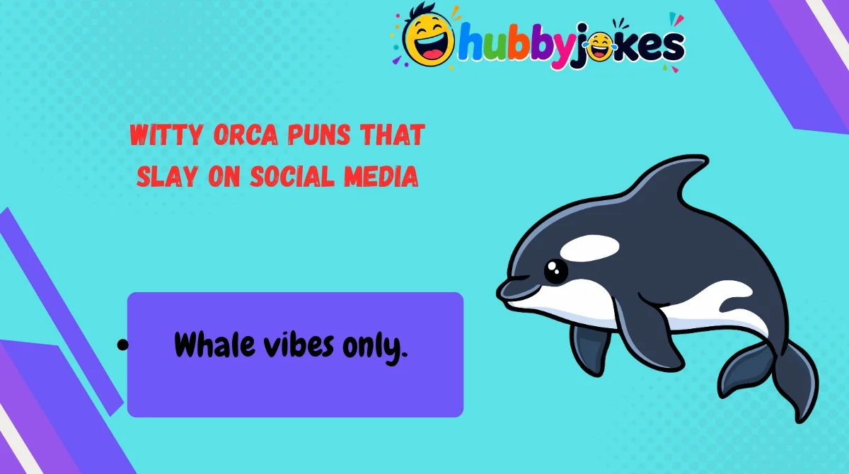 Witty Orca Puns That Slay on Social Media