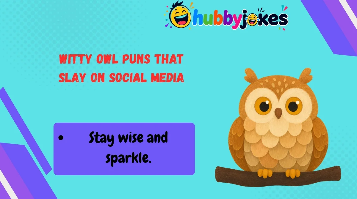 Witty Owl Puns That Slay on Social Media
