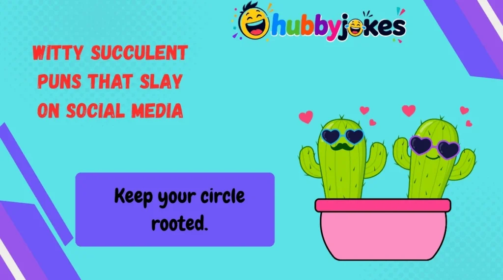 Witty Succulent Puns That Slay on Social Media