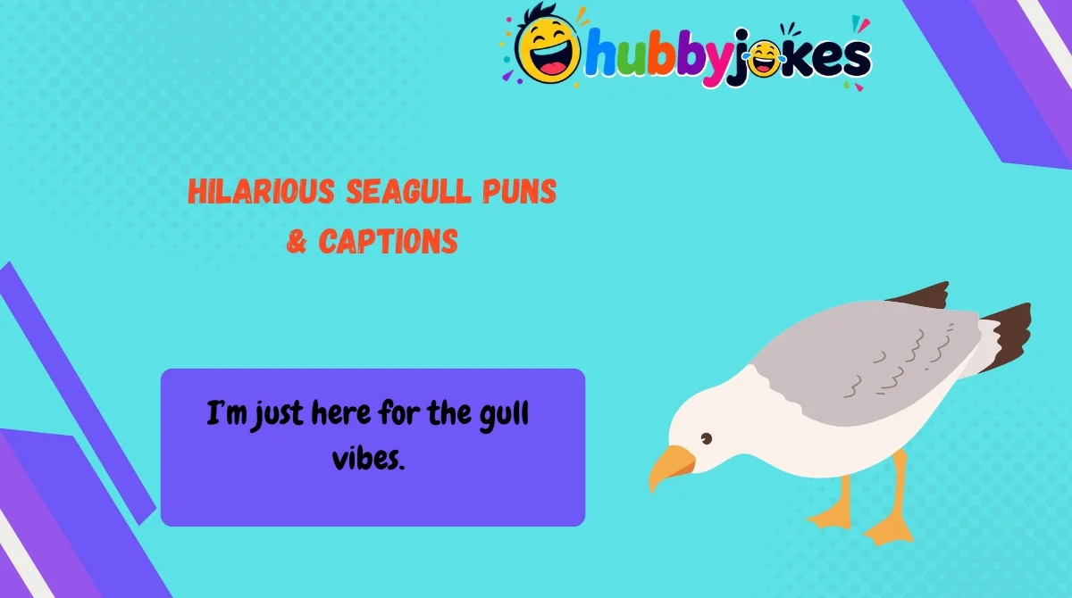 Hilarious Seagull Puns & Captions