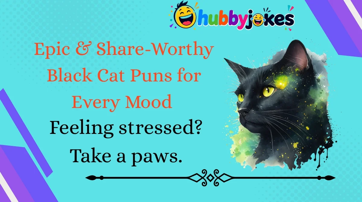 epic-and-share-worthy-black-cat-puns-for-every-mood Epic & Share-Worthy Black Cat Puns for Every Mood