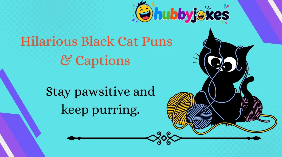 hilarious-black-cat-puns-and-captions Hilarious Black Cat Puns & Captions