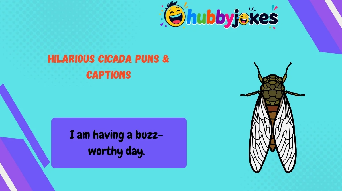 hilarious-cicada-puns-and-captions Hilarious Cicada Puns & Captions