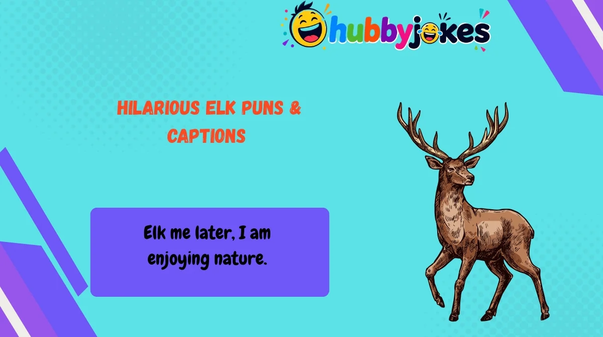 Hilarious Elk Puns & Captions 