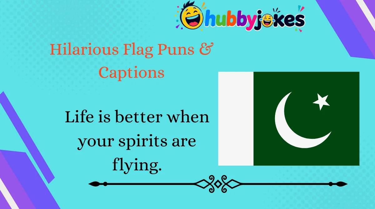 Hilarious Flag Puns & Captions
