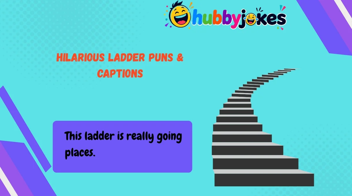 hilarious-ladder-puns-and-captions Hilarious Ladder Puns & Captions