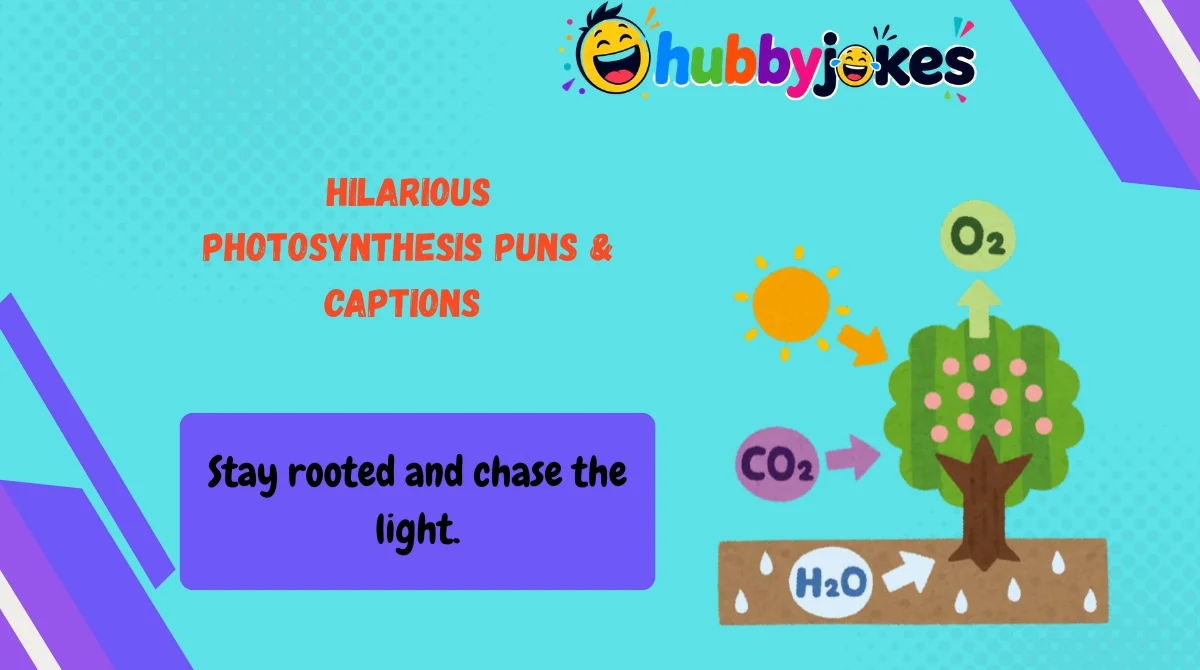 hilarious-photosynthesis-puns-and-captions Hilarious Photosynthesis Puns & Captions