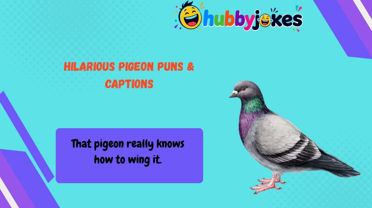 Hilarious Pigeon Puns & Captions