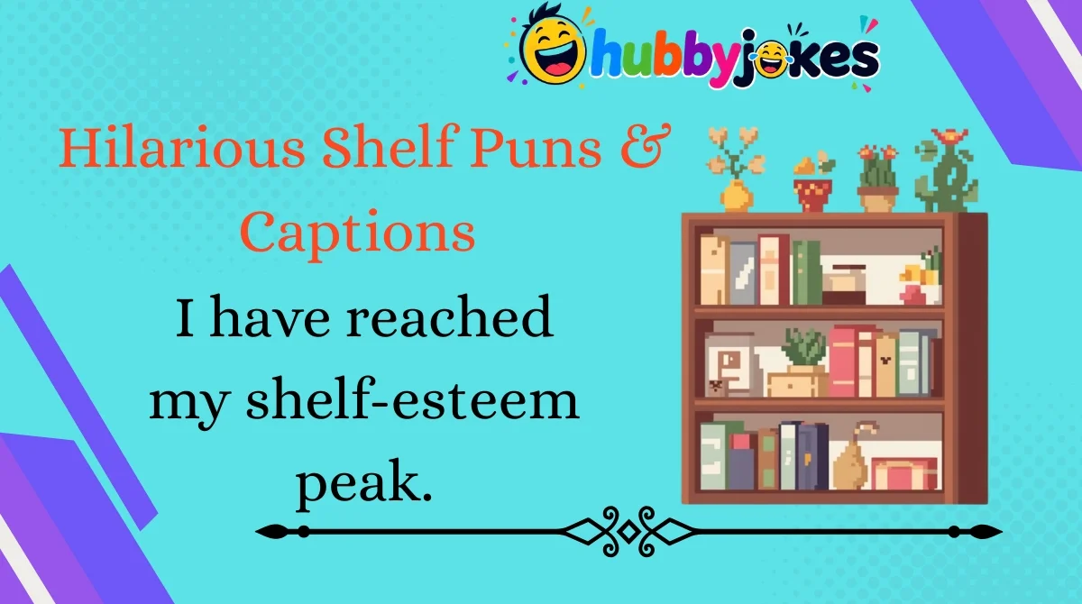 Hilarious Shelf Puns & Captions 