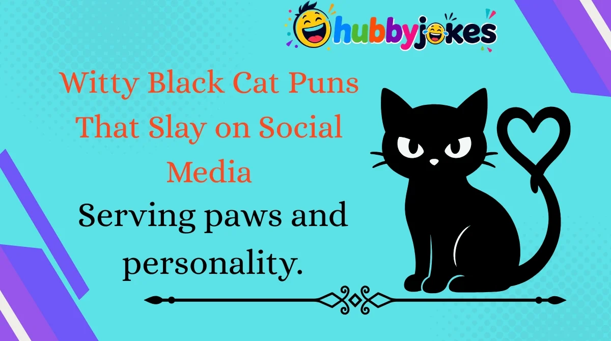 witty-black-cat-puns-that-slay-on-social-media Witty Black Cat Puns That Slay on Social Media