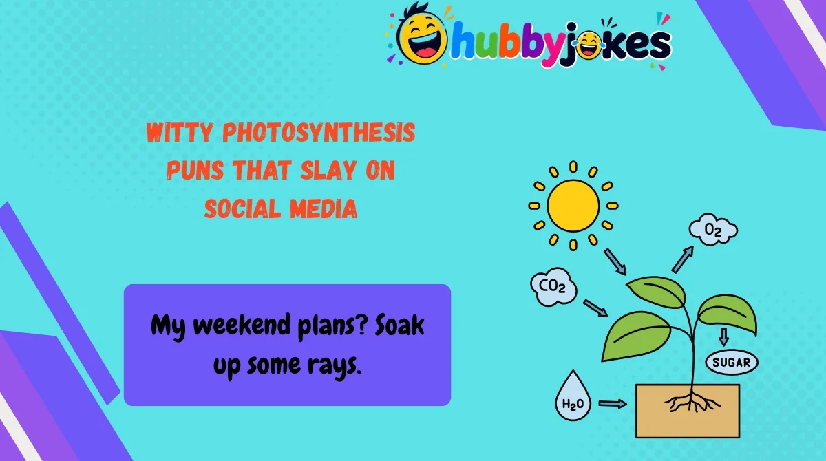 witty-photosynthesis-puns-that-slay-on-social-media Witty Photosynthesis Puns That Slay on Social Media