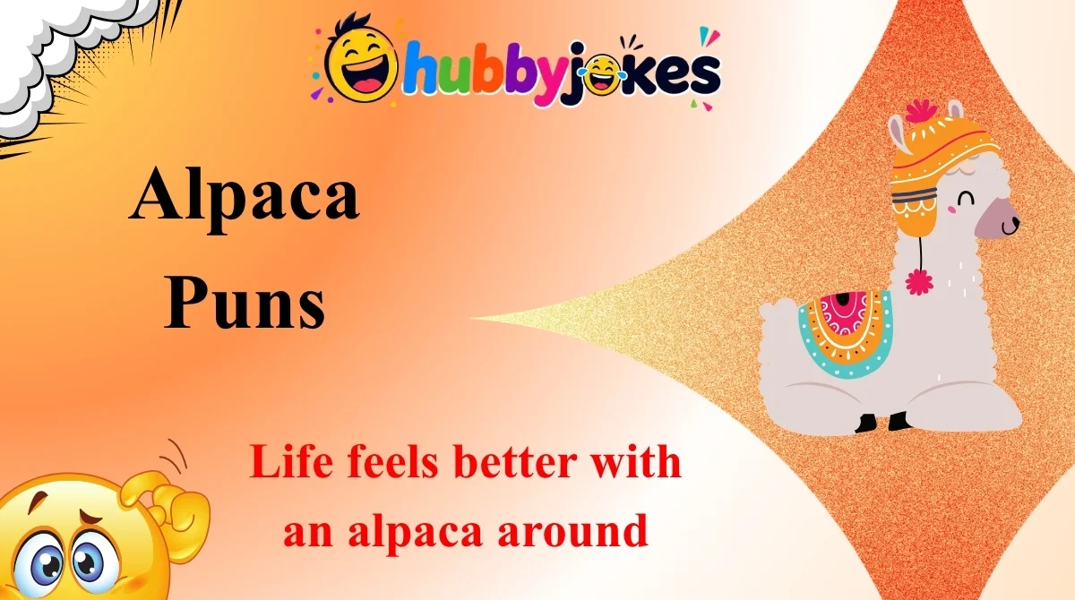 Alpaca Puns