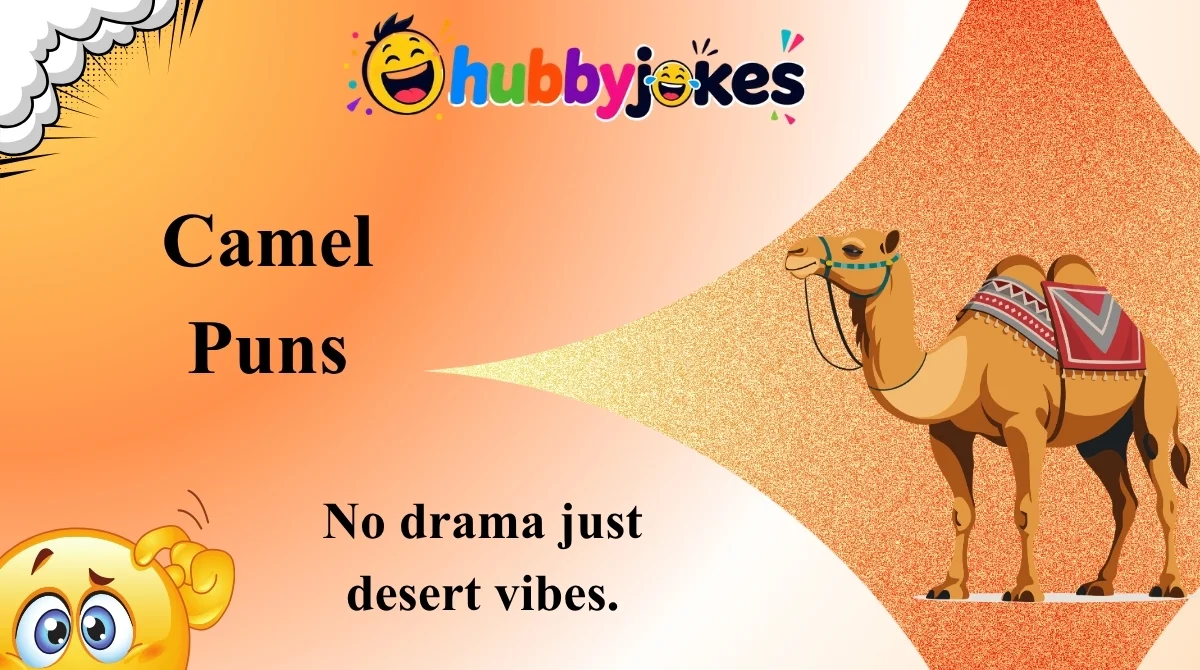 Camel Puns