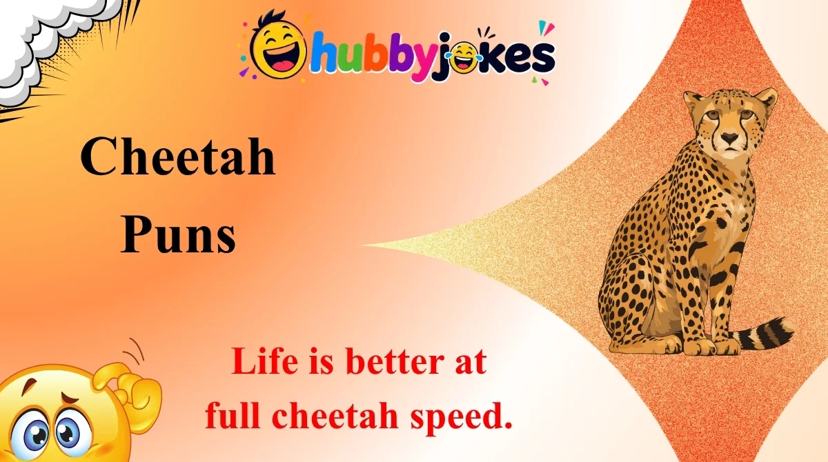 Cheetah Puns