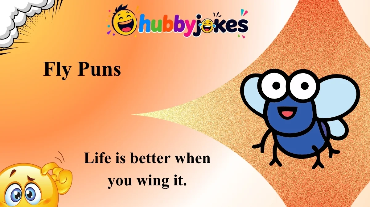 Fly Puns