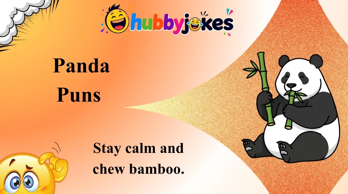 Panda Puns